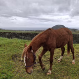 Poço do Cavalo