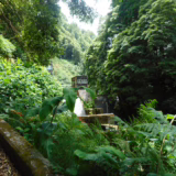 Přehrada Fajã do Redondo