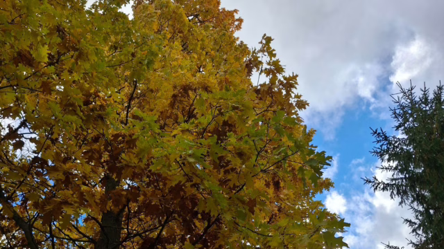 Jak překonat podzimní únavu