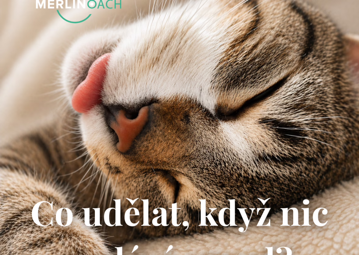 Nedělní večer, úzkost a pocit, že už nemůžeš. Co udělat, když nic nedává smysl?