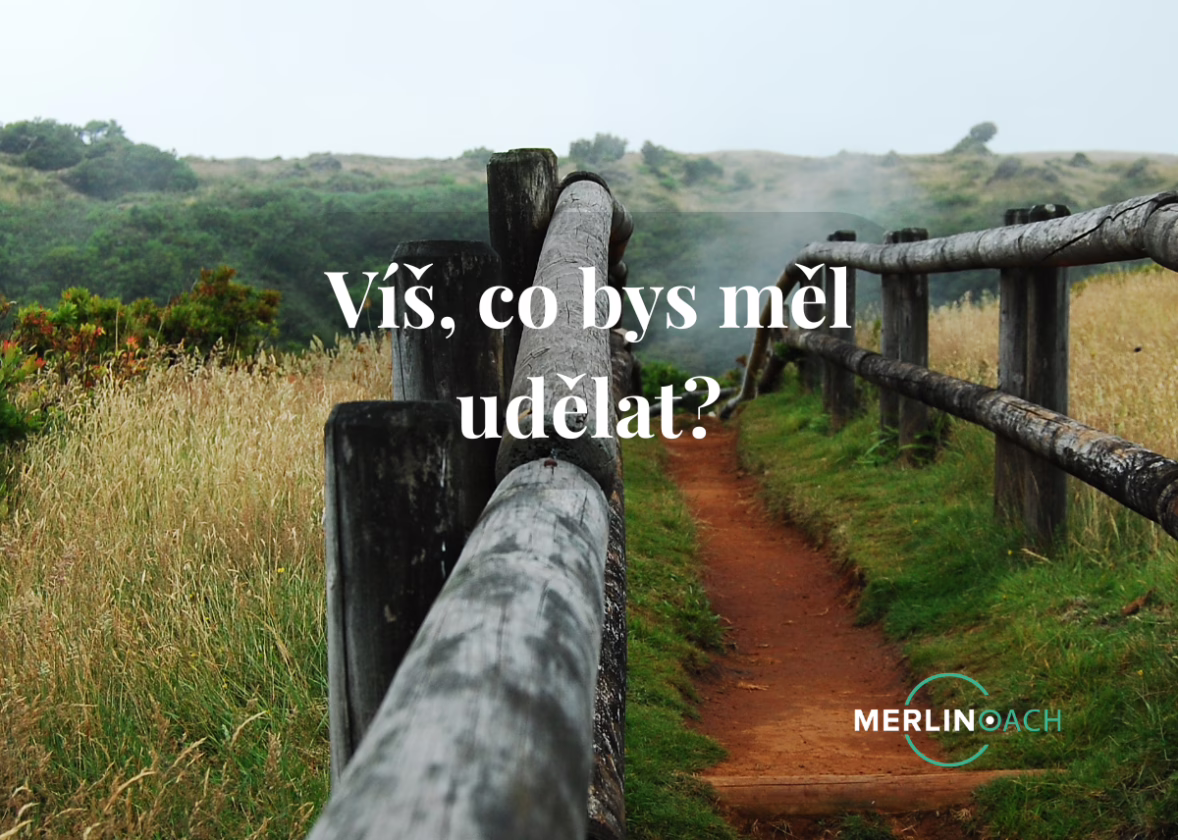 Proč (ne)vyžádané rady nikdy nepomůžou (a proč vám dobrý kouč nikdy žádnou nedá)