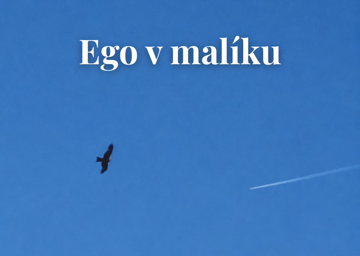 Ego v malíčku. Nebo si tě už dávno omotalo kolem prstu?
